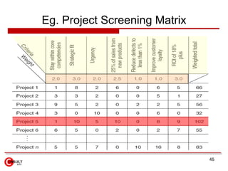 Eg. Project Screening Matrix




                               45
 