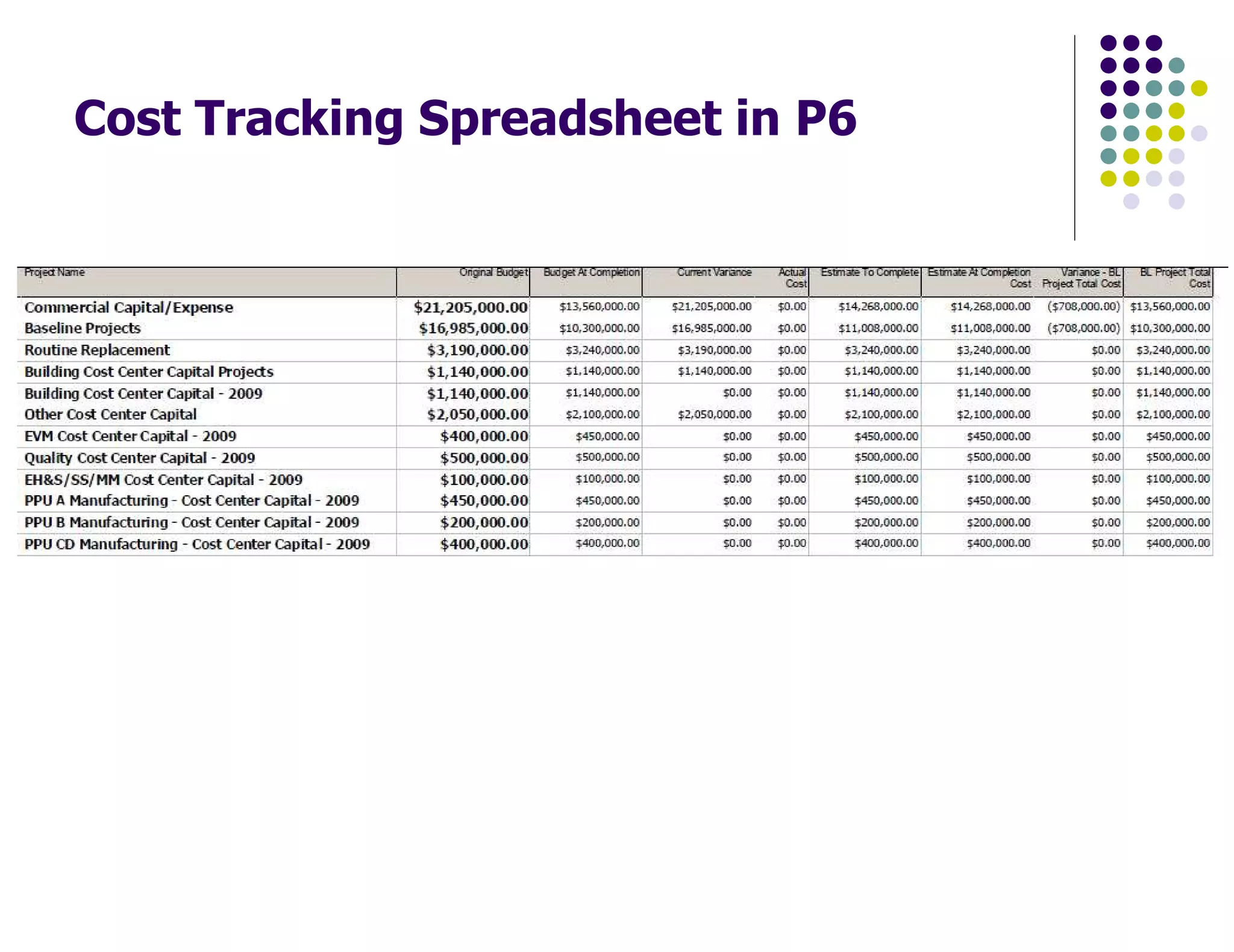 Cost Tracking Spreadsheet in P6
 