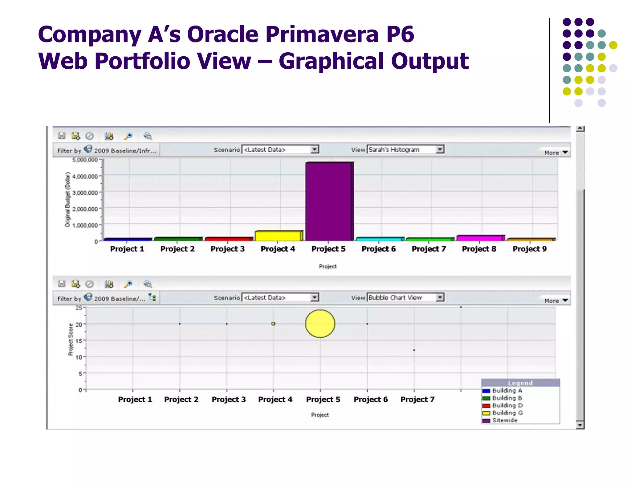 Company A’s Oracle Primavera P6
Web Portfolio View – Graphical Output
 
