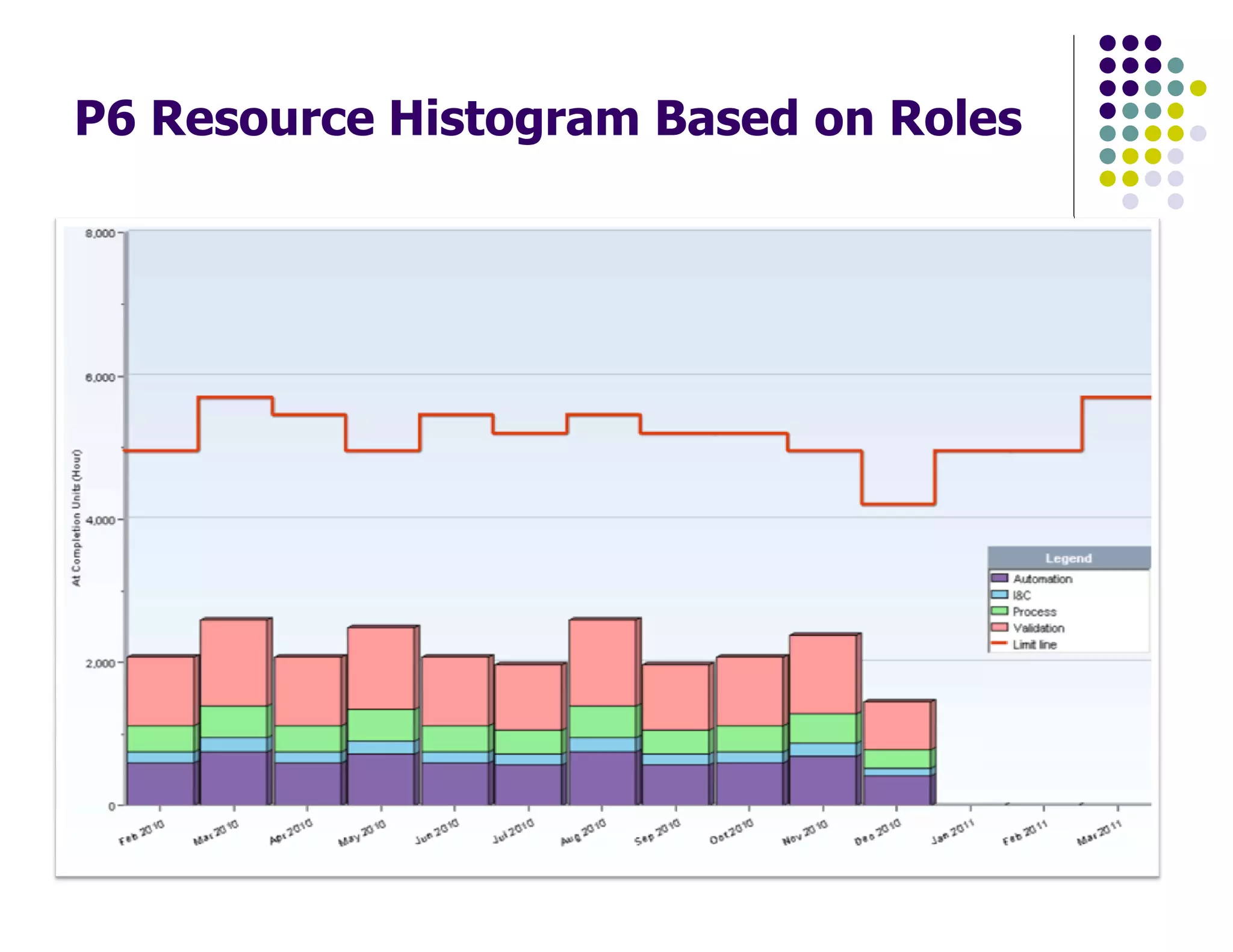 P6 Resource Histogram Based on Roles
 