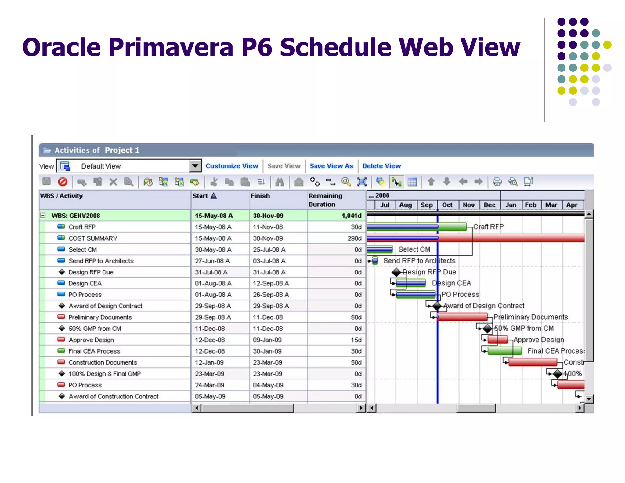 Oracle Primavera P6 Schedule Web View
 