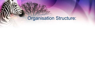 Organisation Structure:
 