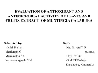 EVALUATION OF ANTIOXIDANT AND
ANTIMICROBIAL ACTIVITY OF LEAVES AND
FRUITS EXTRACT OF MUNTINGIA CALABURA
Submitted by: Guide:
Harish Kumar Ms. Triveni T G
Manjunath G Msc.MTech
Manjunatha P A Dept. of BT
Yashavantagouda S N G M I T College
Davangere, Karanataka
 