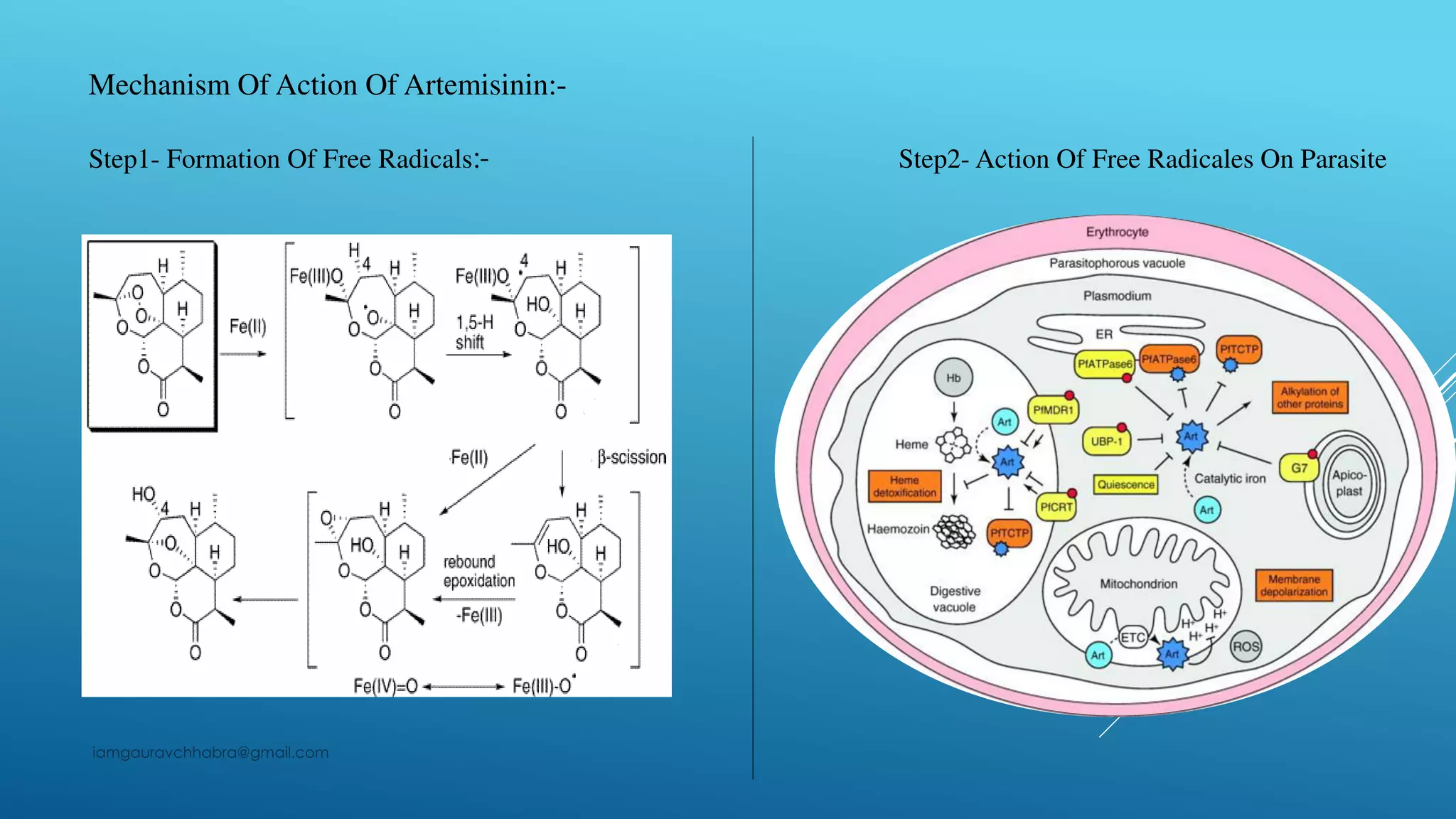 Artemisnin and their derivatives in malaria therapy | PDF