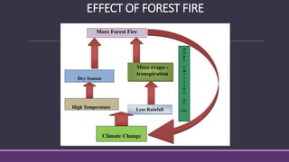 Wireless Sensor Network Assisted Forest Fire Detection and control ...