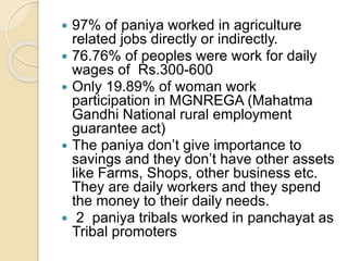 Socio Economic and Health Condition of Paniya Tribes in Thavinjal ...