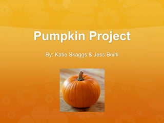 Pumpkin Project 
By: Katie Skaggs & Jess Beihl 
 