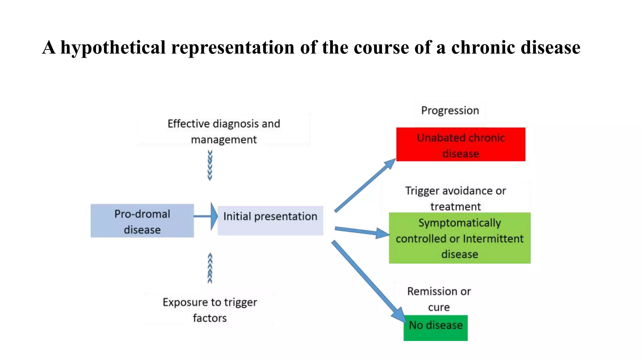 A hypothetical representation of the course of a chronic disease
 
