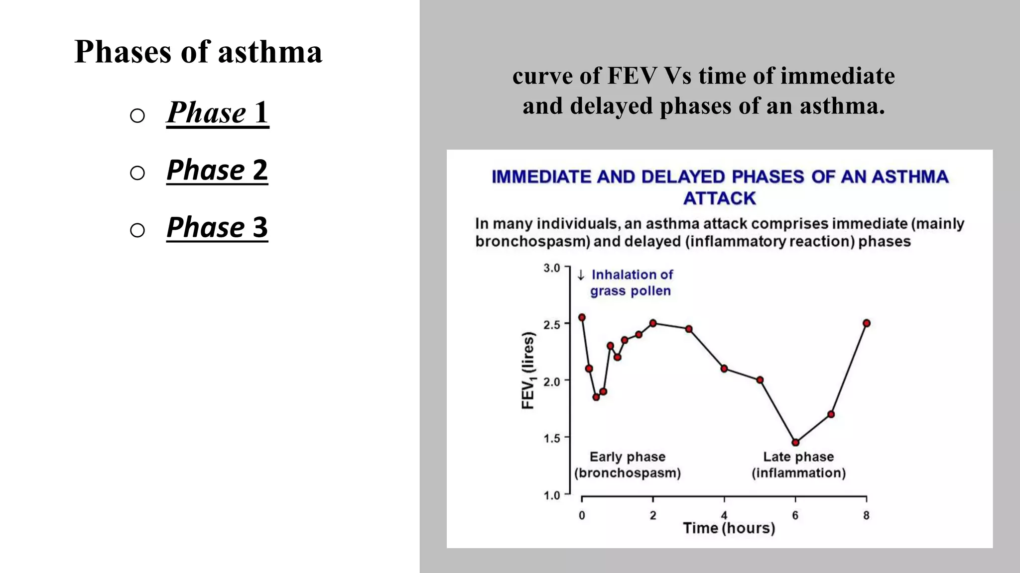 Phases of asthma
o Phase 1
o Phase 2
o Phase 3
curve of FEV Vs time of immediate
and delayed phases of an asthma.
 