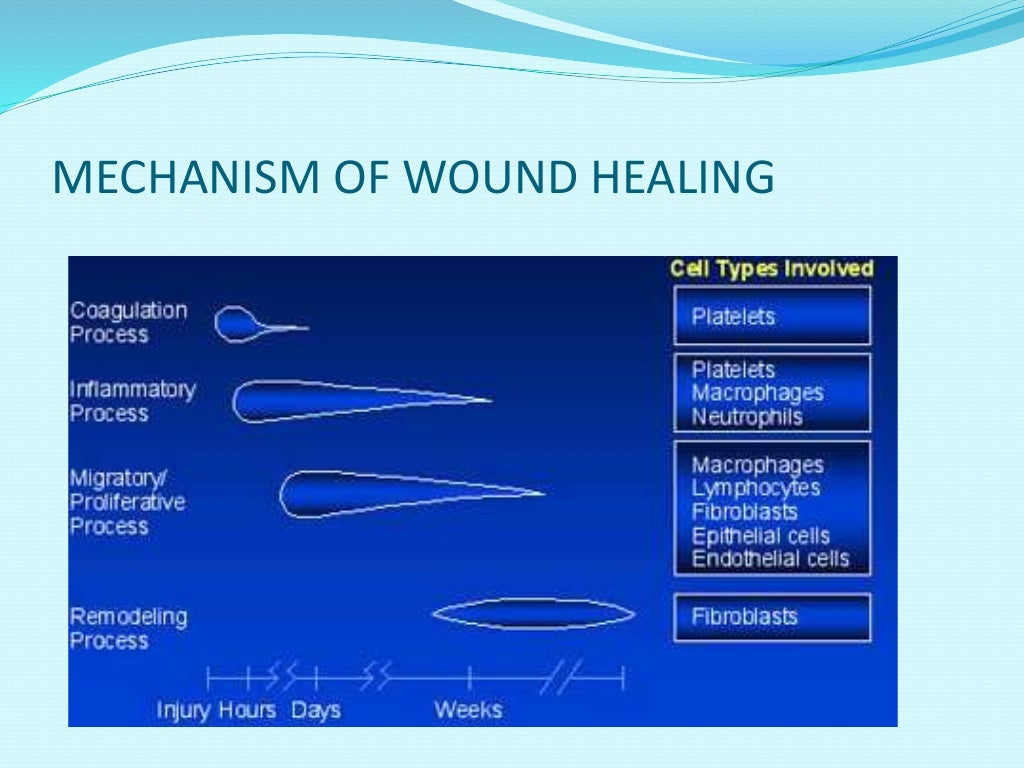 VACUUM ASSISTED WOUND THERAPY
