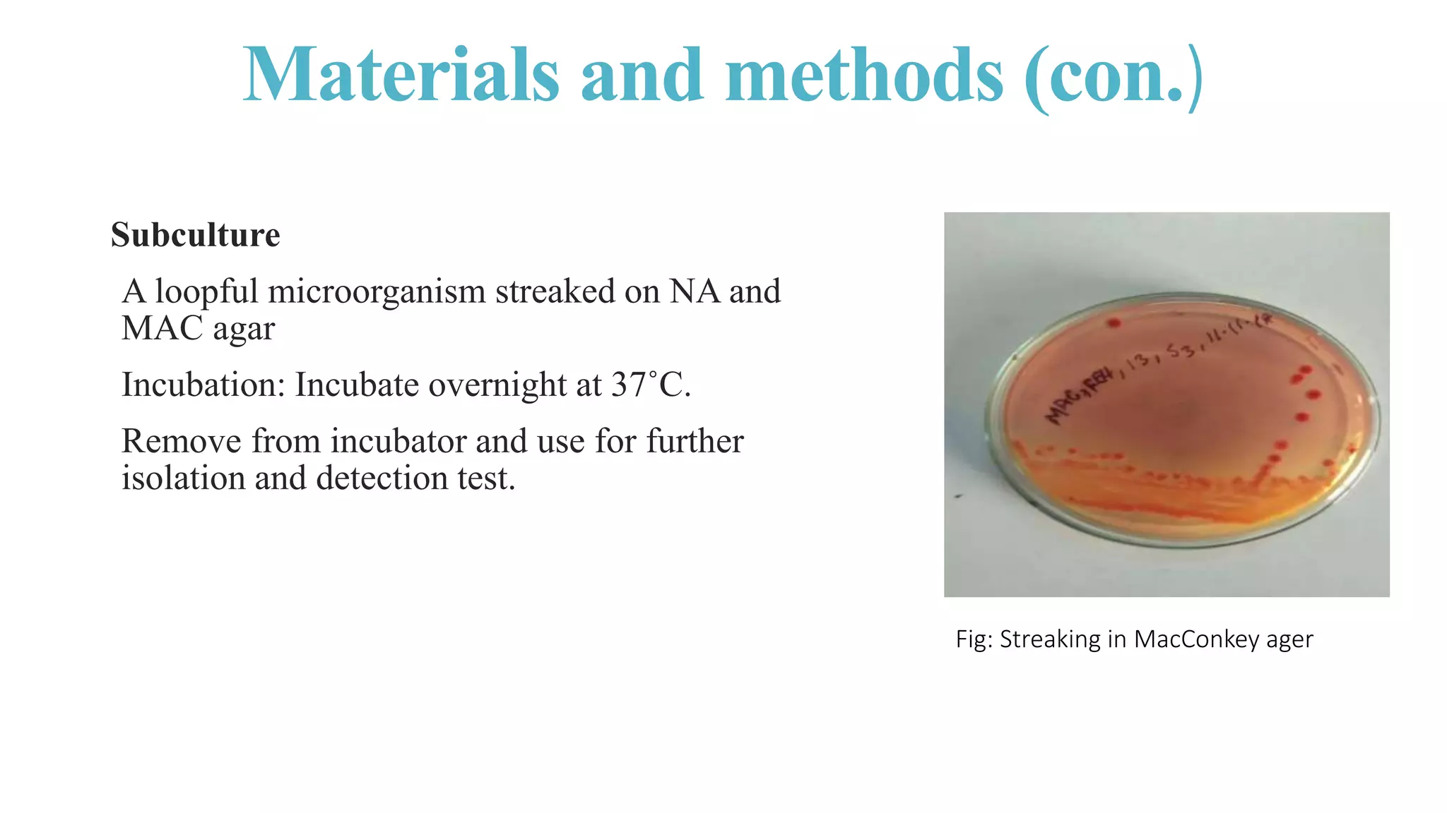 Isolation , Identification and Enumeration of Bacteria from Street Food ...