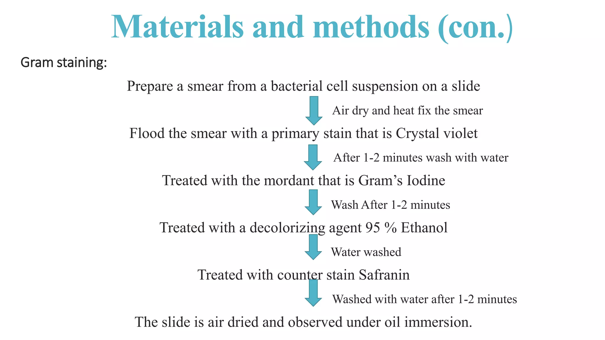 Isolation , Identification and Enumeration of Bacteria from Street Food ...