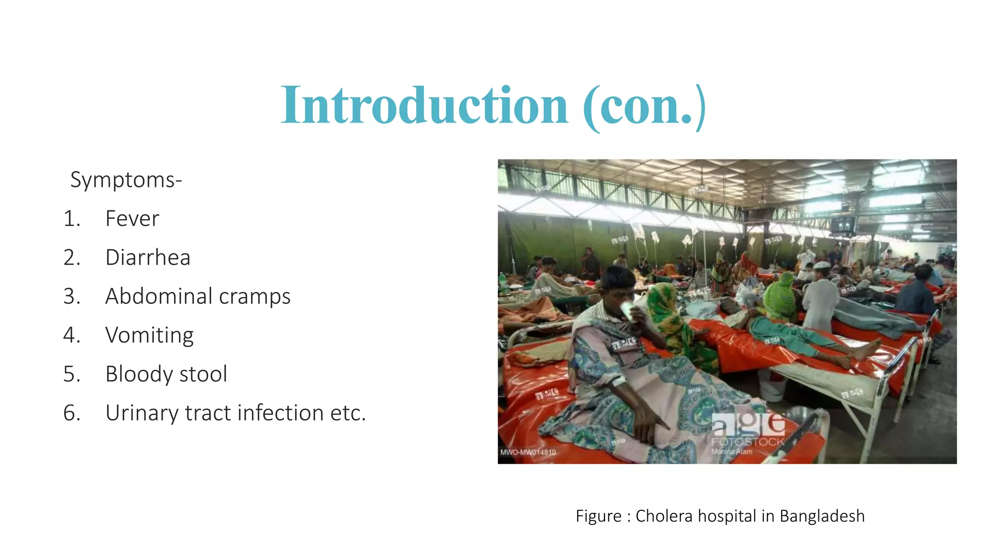 Isolation , Identification and Enumeration of Bacteria from Street Food ...