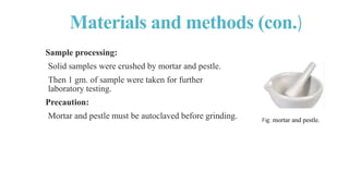 Isolation , Identification and Enumeration of Bacteria from Street Food ...