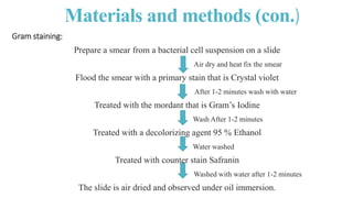 Isolation , Identification and Enumeration of Bacteria from Street Food ...
