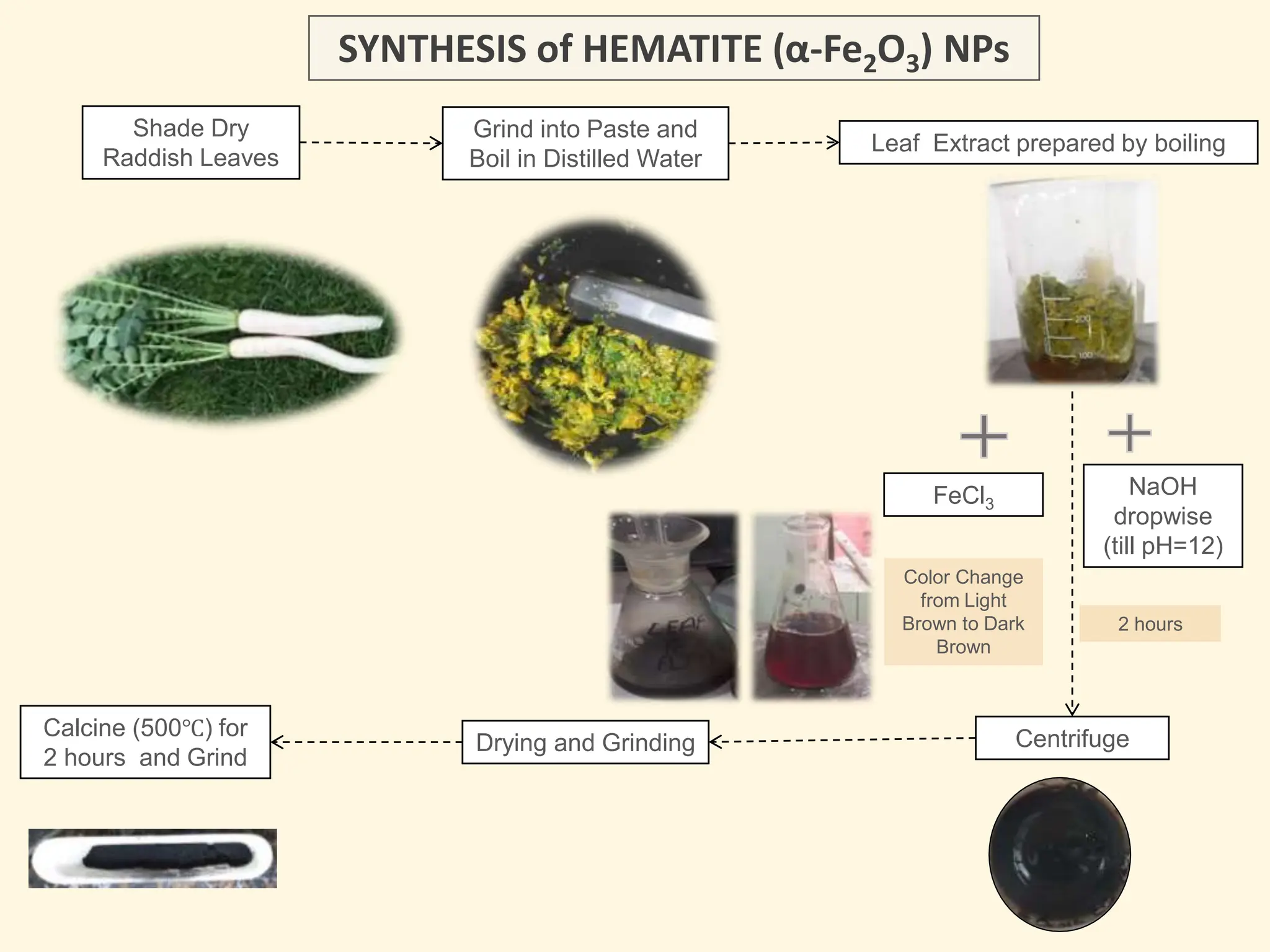 SYNTHESIS of HEMATITE (α-Fe2O3) NPs
FeCl3
Leaf Extract prepared by boiling
Shade Dry
Raddish Leaves
Grind into Paste and
Boil in Distilled Water
NaOH
dropwise
(till pH=12)
2 hours
Centrifuge
Drying and Grinding
Calcine (500℃) for
2 hours and Grind
Color Change
from Light
Brown to Dark
Brown
 