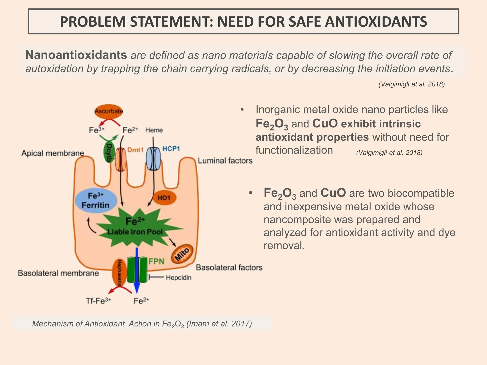 PROBLEM STATEMENT: NEED FOR SAFE ANTIOXIDANTS
Nanoantioxidants are defined as nano materials capable of slowing the overall rate of
autoxidation by trapping the chain carrying radicals, or by decreasing the initiation events.
• Inorganic metal oxide nano particles like
Fe2O3 and CuO exhibit intrinsic
antioxidant properties without need for
functionalization (Valgimigli et al. 2018)
(Valgimigli et al. 2018)
• Fe2O3 and CuO are two biocompatible
and inexpensive metal oxide whose
nancomposite was prepared and
analyzed for antioxidant activity and dye
removal.
Mechanism of Antioxidant Action in Fe2O3 (Imam et al. 2017)
 