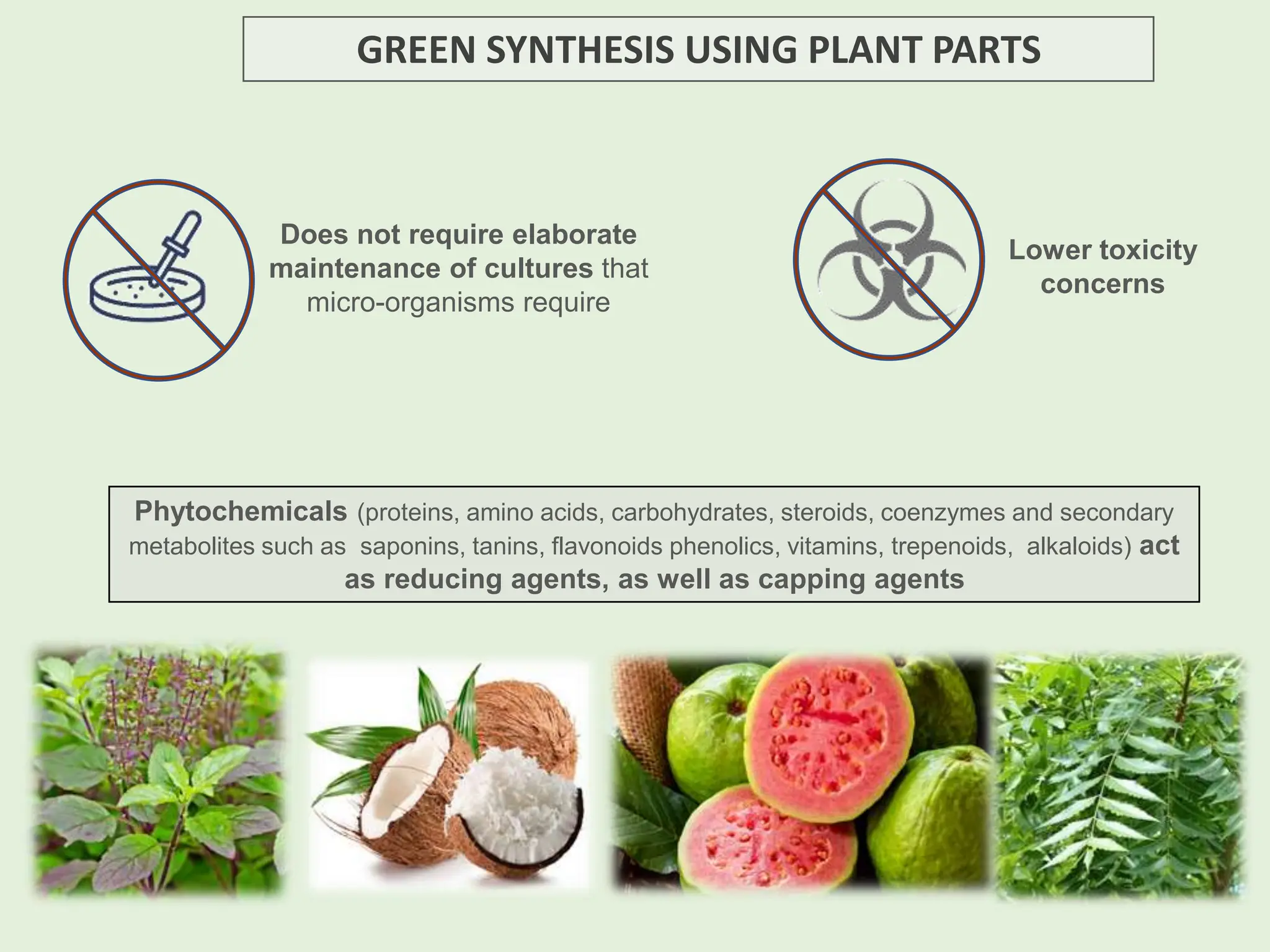 GREEN SYNTHESIS USING PLANT PARTS
Does not require elaborate
maintenance of cultures that
micro-organisms require
Lower toxicity
concerns
Phytochemicals (proteins, amino acids, carbohydrates, steroids, coenzymes and secondary
metabolites such as saponins, tanins, flavonoids phenolics, vitamins, trepenoids, alkaloids) act
as reducing agents, as well as capping agents
 
