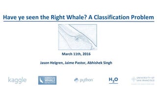 March 11th, 2016
Jason Helgren, Jaime Pastor, Abhishek Singh
Have ye seen the Right Whale? A Classification Problem
 