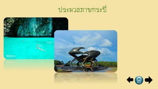 ประมวลภาพกระบี่
 