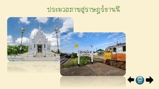 ประมวลภาพสุราษฎร์ธานนี
 