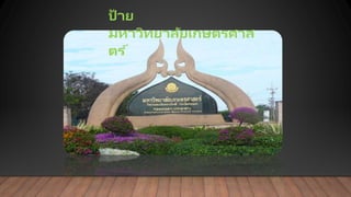 ป้ าย
มหาวิทยาลัยเกษตรศาส
ตร ์
 
