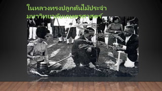 ในหลวงทรงปลูกต้นไม้ประจา
มหาวิทยาลัยเกษตรศาสตร ์
 