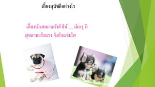 เลี้ยงสุนัขดีอย่างไร
เลี้ยงน้องหมาแล้วทาให้ ... เด็กๆ มี
สุขภาพแข็งแรง จิตใจแจ่มใส
 