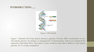 Dna Classification Using Machine Learning Dna sequence of Classification PROJECT PRESENTATION 2.pptx