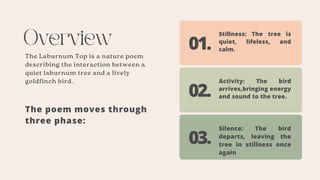 Overview
The Laburnum Top is a nature poem
describing the interaction between a
quiet laburnum tree and a lively
goldfinch bird.
The poem moves through
three phase:
01.
02.
03.
Stillness: The tree is
quiet, lifeless, and
calm.
Activity: The bird
arrives,bringing energy
and sound to the tree.
Silence: The bird
departs, leaving the
tree in stillness once
again
 
