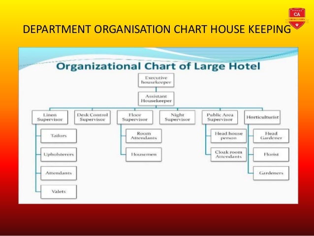 hotel organizational chart