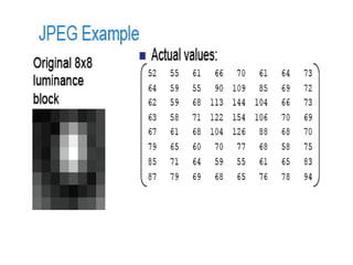 One colour index can indicate transparency.