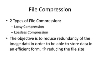 Uses lossless LZW compression of data bytes.