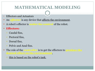 MATHEMATICAL MODELING Effectors and Actuators An  effector  is any device that  affects the environment .  A robot's effector is  under the control   of the robot.  Effectors: Caudal fins, Pectoral fins, Dorsal fins, Pelvic and Anal fins.  The role of the  controller  is to get the effectors to  produce the desired effect on the environment ,  this is based on the robot's task.   