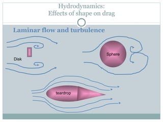 Hydrodynamics: Effects of shape on drag Laminar flow and turbulence Disk Sphere teardrop 