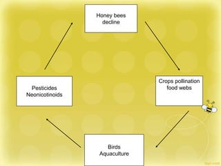 Honey bees
decline
Crops pollination
food webs
Birds
Aquaculture
Pesticides
Neonicotinoids
 