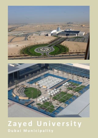 Zayed University
Dubai Municipality
 