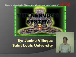 Slides are too simple. Change your picture parakang “manang!” 40/50 The Nervous System By: Janine Villegas Saint Louis University 