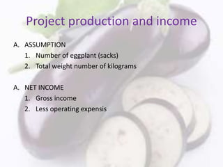 Project production and income
A. ASSUMPTION
1. Number of eggplant (sacks)
2. Total weight number of kilograms
A. NET INCOME
1. Gross income
2. Less operating expensis
 