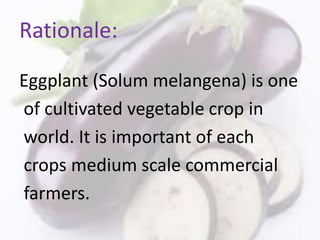 Rationale:
Eggplant (Solum melangena) is one
of cultivated vegetable crop in
world. It is important of each
crops medium scale commercial
farmers.
 