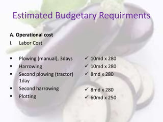 Estimated Budgetary Requirments
A. Operational cost
I. Labor Cost
 Plowing (manual), 3days
 Harrowing
 Second plowing (tractor)
1day
 Second harrowing
 Plotting
 10md x 280
 10md x 280
 8md x 280
 8md x 280
 60md x 250
 