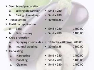  Seed breed preparation
a. sowing preparation
b. Caring of seedlings
 Transplanting
 Fertilizer application
a. Basal
b. Side dressing
 Crop protection
a. Spraying insecticides
b. manual weeding
 Harvesting
a. Harvesting
b. Bundling
c. Cleaning
• 5md x 280
• 5md x 280
 40md x 250
• 5md x 280 1400.00
• 5md x 280 1400.00
• 10 tanks x 20 tanks 200.00
• 30md x 25 7500.00
• 5md x 280 1400.00
• 5md x 280 1400.00
• 5md x 280 1400.00
 