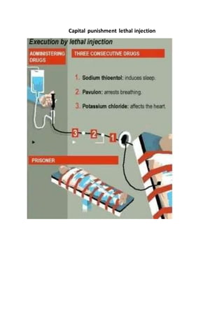 Capital punishment lethal injection
 