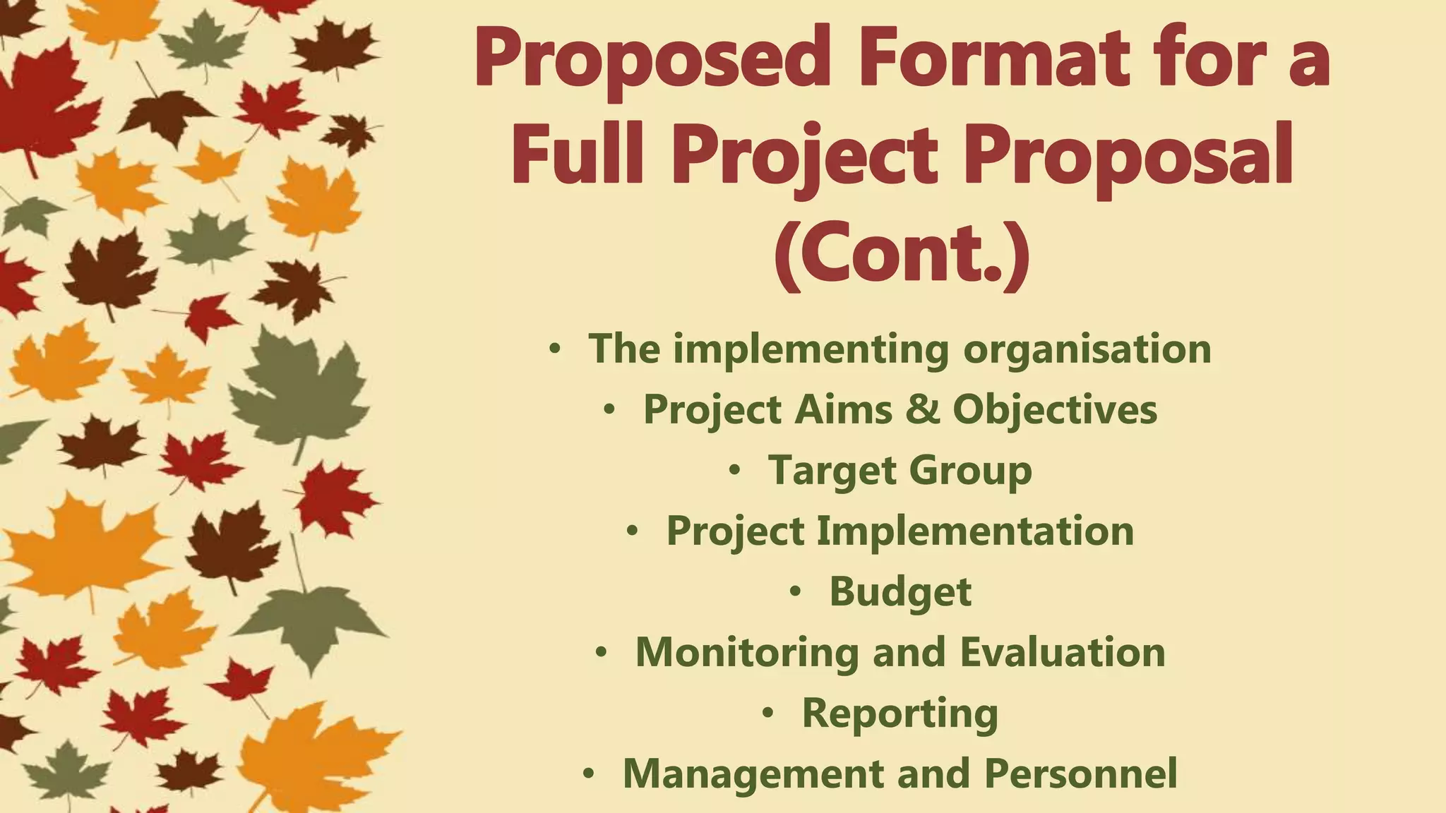 • The implementing organisation
• Project Aims & Objectives
• Target Group
• Project Implementation
• Budget
• Monitoring and Evaluation
• Reporting
• Management and Personnel
 