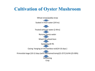 Cultivation of Oyster Mushroom
Wheat straw/paddy straw
Soaked in fresh water (24 hrs)
Treated with hot water (2-4hrs)
Remove excess water
Mixed 5% wheat bran
Spawning @ 4%
Casing hanging on the bamboo rack(14-16 days )
Primordial stage (10-12 days )with maintained temp(22-25°C) & RH (25-90%)
Harvesting
Crop
 