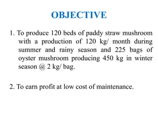 OBJECTIVE
1. To produce 120 beds of paddy straw mushroom
with a production of 120 kg/ month during
summer and rainy season and 225 bags of
oyster mushroom producing 450 kg in winter
season @ 2 kg/ bag.
2. To earn profit at low cost of maintenance.
 