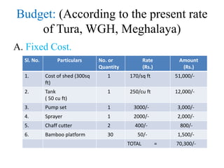 Budget: (According to the present rate
of Tura, WGH, Meghalaya)
A. Fixed Cost.
Sl. No. Particulars No. or
Quantity
Rate
(Rs.)
Amount
(Rs.)
1. Cost of shed (300sq
ft)
1 170/sq ft 51,000/-
2. Tank
( 50 cu ft)
1 250/cu ft 12,000/-
3. Pump set 1 3000/- 3,000/-
4. Sprayer 1 2000/- 2,000/-
5. Chaff cutter 2 400/- 800/-
6. Bamboo platform 30 50/- 1,500/-
TOTAL = 70,300/-
 