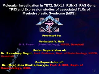 Molecular investigation in TET2, SAXL1, RUNX1, RAS Gene,
TP53 and Expression studies of associated TLRs of
Myelodysplastic Syndrome (MDS).
1
Presented by:
Venkatesh V. Naik
M.S. Pharm. (Biotechnology), NIPER, Guwahati
Under Supervision of:
Dr. Ranadeep Gogoi, Asst. Professor, Dept. of Biotechnology, NIPER,
Guwahati.
Co-Supervision of:
Dr. (Mrs.) Jina Bhattacharyya, Prof. & HOD, Dept. of
Haematology, GMC.
 