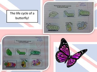 The life cycle of a
butterfly!
 