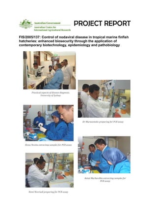 PROJECT REPORT
FIS/2005/137: Control of nodaviral disease in tropical marine finfish
hatcheries: enhanced biosecurity through the application of
contemporary biotechnology, epidemiology and pathobiology
 